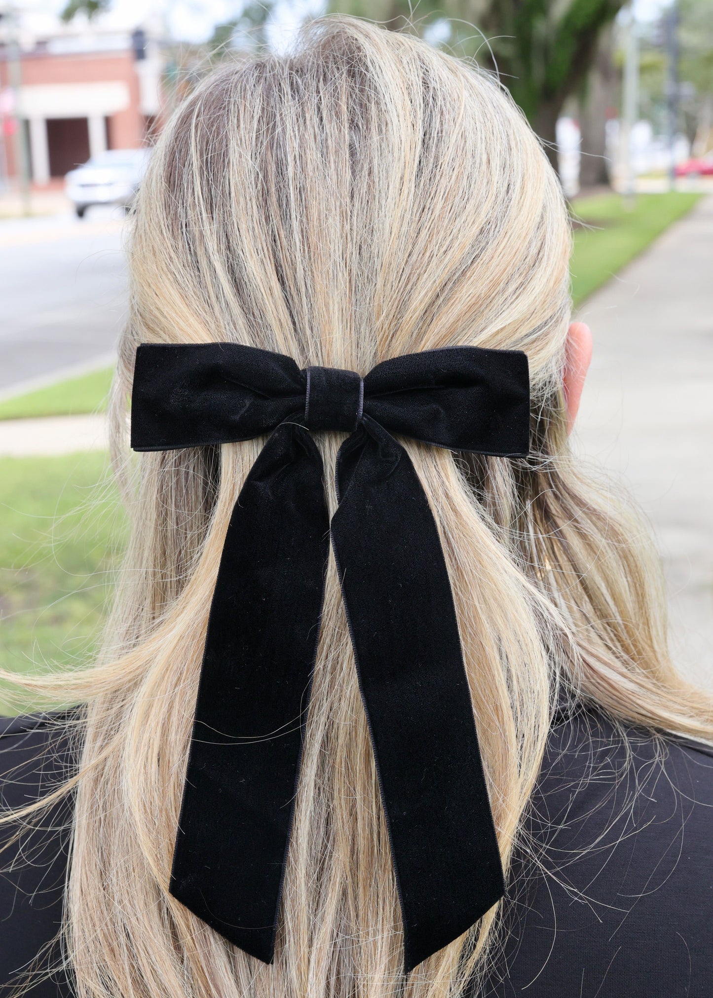 Bardem Velvet Bow BLACK